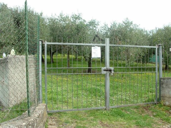 terreno agricolo in vendita ad Albano Laziale