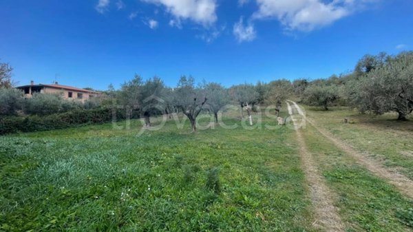 terreno agricolo in vendita ad Albano Laziale
