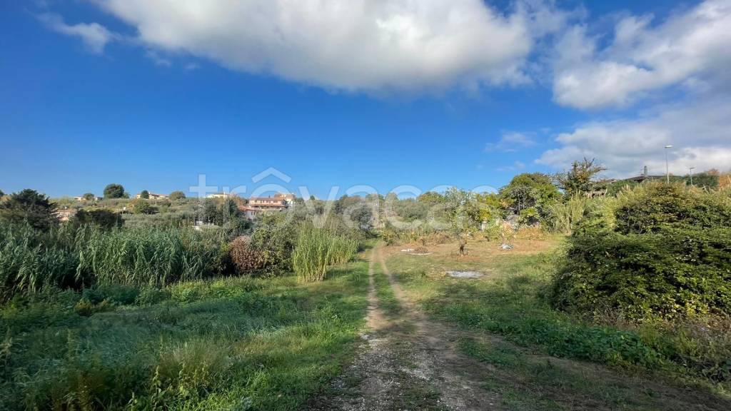terreno agricolo in vendita ad Albano Laziale