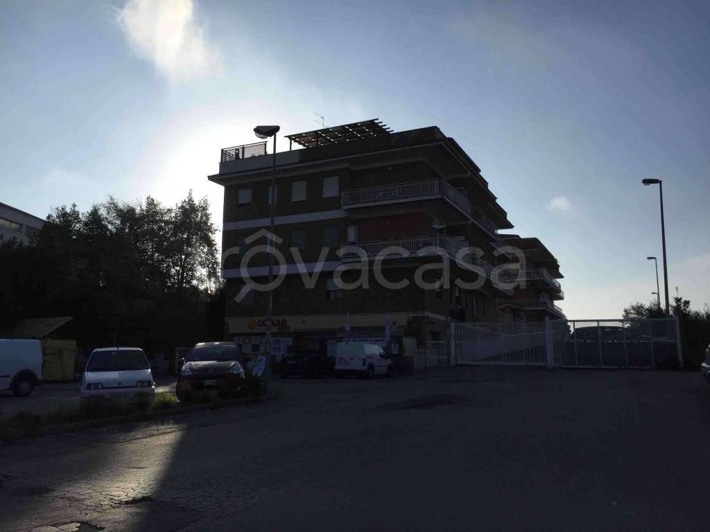 negozio in vendita ad Albano Laziale in zona Cecchina