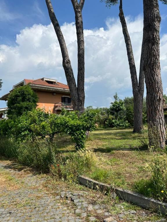 casa indipendente in vendita ad Albano Laziale in zona Cecchina