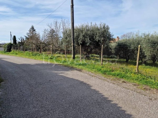 terreno agricolo in vendita ad Albano Laziale in zona Pavona