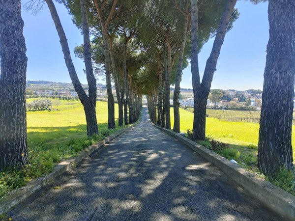 casa indipendente in vendita ad Albano Laziale