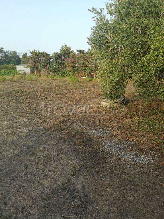 terreno agricolo in vendita ad Albano Laziale in zona Cecchina