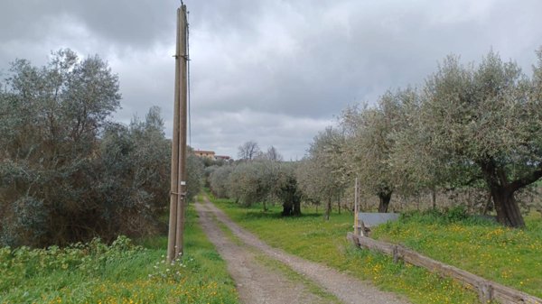 terreno agricolo in vendita ad Albano Laziale in zona Pavona