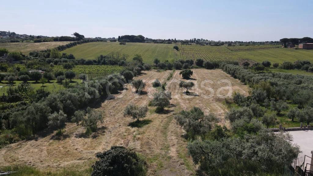 terreno agricolo in vendita ad Albano Laziale in zona Cecchina