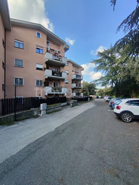appartamento in vendita ad Albano Laziale