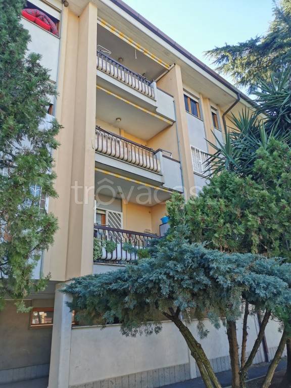 appartamento in vendita ad Albano Laziale in zona Cecchina