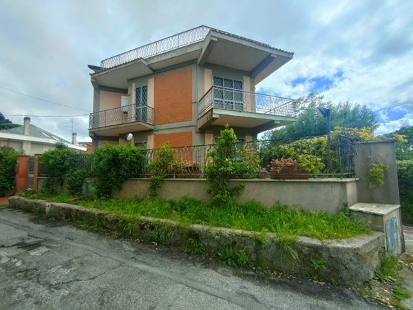 immagine annuncio 0 di 15