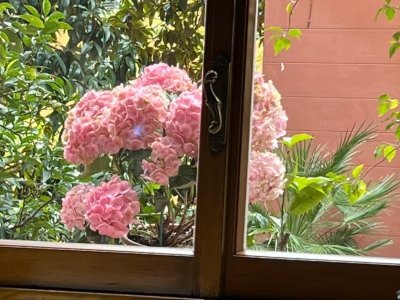appartamento in vendita ad Albano Laziale