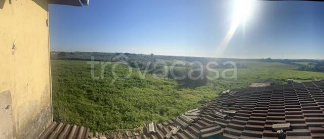 terreno agricolo in vendita ad Albano Laziale
