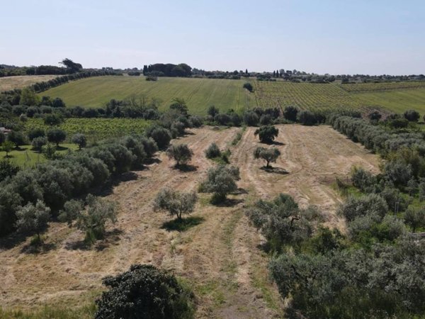 terreno agricolo in vendita ad Albano Laziale in zona Cecchina