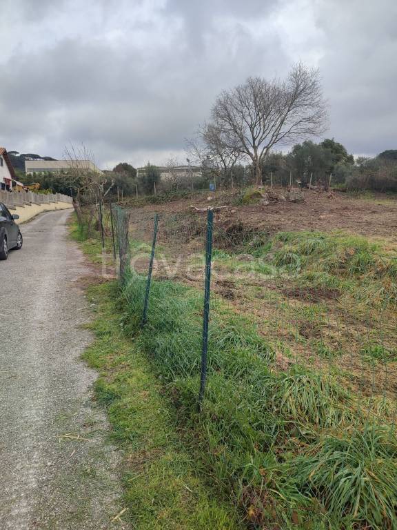 terreno agricolo in vendita ad Albano Laziale in zona Pavona