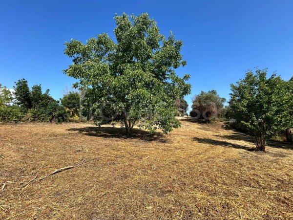 terreno agricolo in vendita ad Albano Laziale in zona Pavona