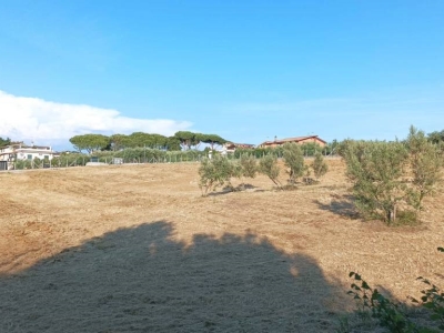 terreno agricolo in vendita ad Albano Laziale in zona Cecchina