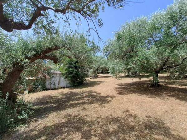 terreno agricolo in vendita ad Albano Laziale in zona Pavona