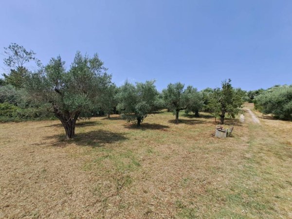 terreno agricolo in vendita ad Albano Laziale in zona Pavona