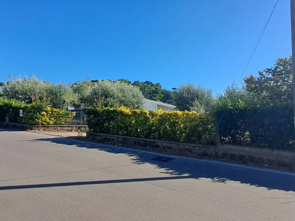 terreno agricolo in vendita ad Albano Laziale
