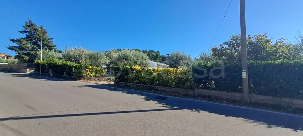terreno agricolo in vendita ad Albano Laziale