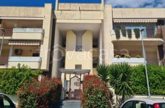 appartamento in vendita ad Albano Laziale in zona Cecchina