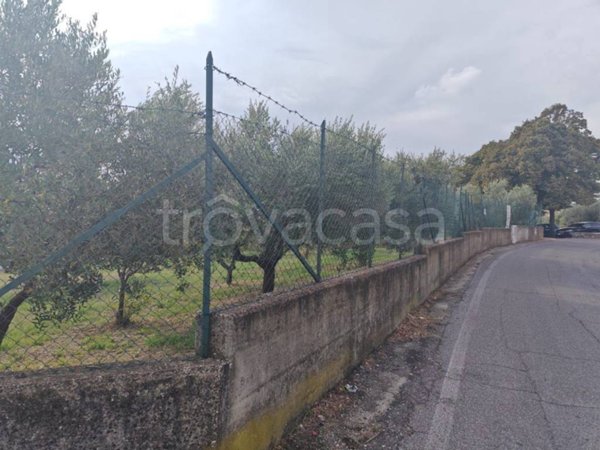 terreno agricolo in vendita ad Albano Laziale in zona Cecchina