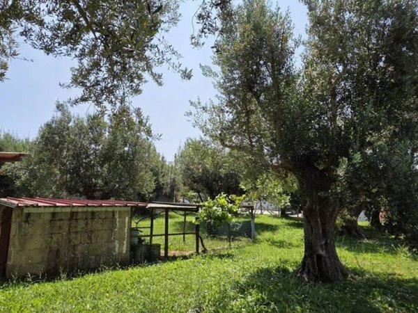 terreno agricolo in vendita ad Albano Laziale