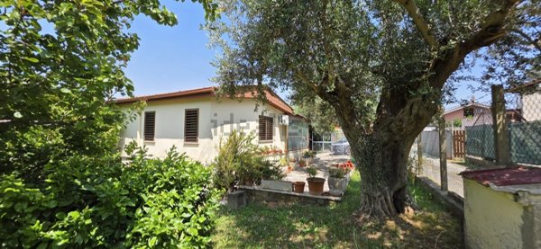 quadrivano in vendita ad Albano Laziale