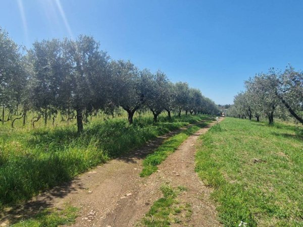 terreno agricolo in vendita ad Albano Laziale in zona Cecchina