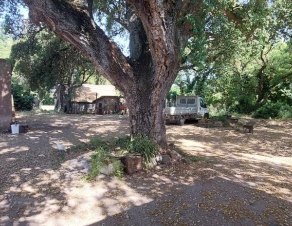 immagine annuncio 0 di 15