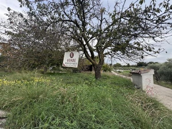 locale di sgombero in vendita ad Albano Laziale