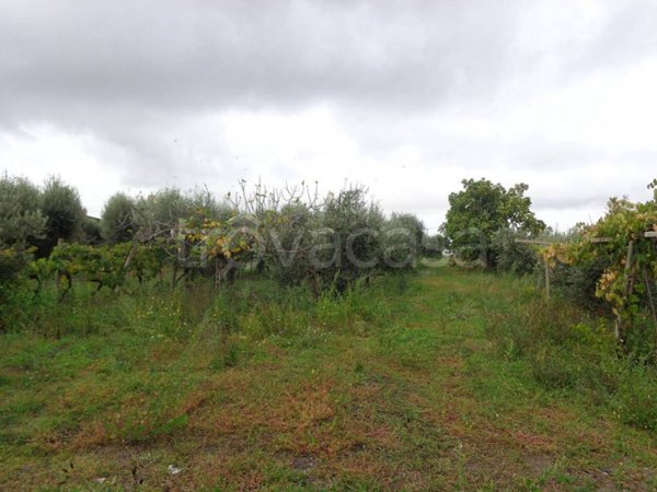 terreno agricolo in vendita ad Albano Laziale in zona Pavona