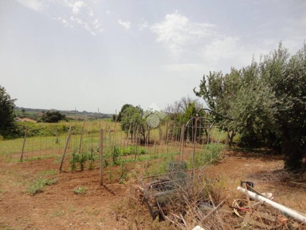 terreno agricolo in vendita ad Albano Laziale in zona Cecchina