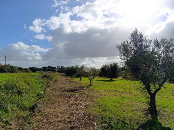 terreno agricolo in vendita ad Albano Laziale in zona Cecchina
