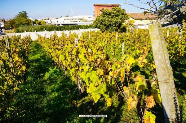 terreno agricolo in vendita ad Albano Laziale in zona Pavona