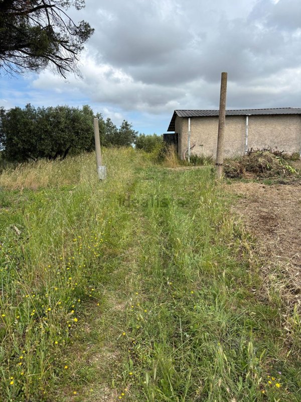 appartamento in vendita ad Albano Laziale