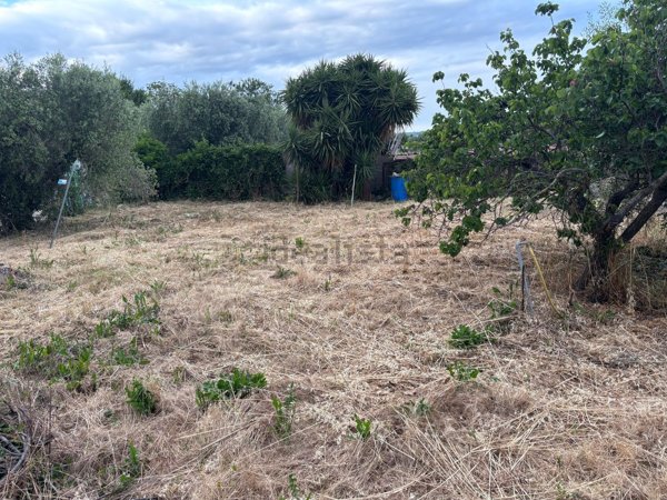 terreno agricolo in vendita ad Albano Laziale