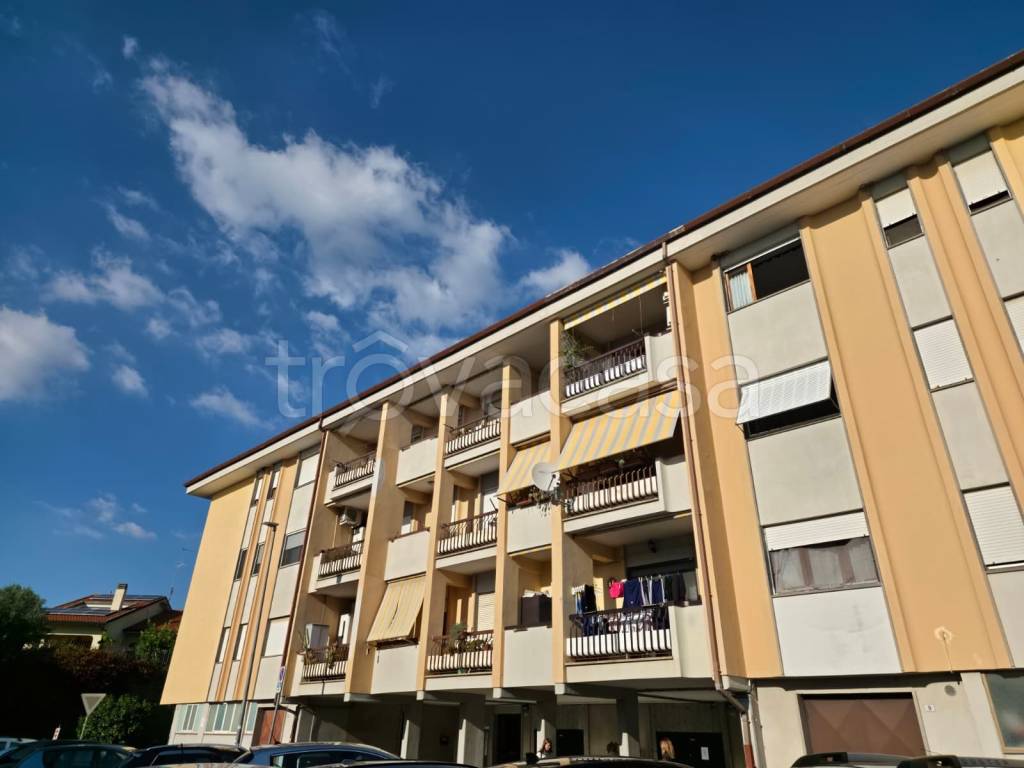 appartamento in vendita ad Albano Laziale in zona Cecchina