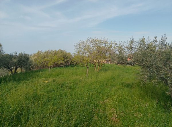 terreno agricolo in vendita ad Albano Laziale