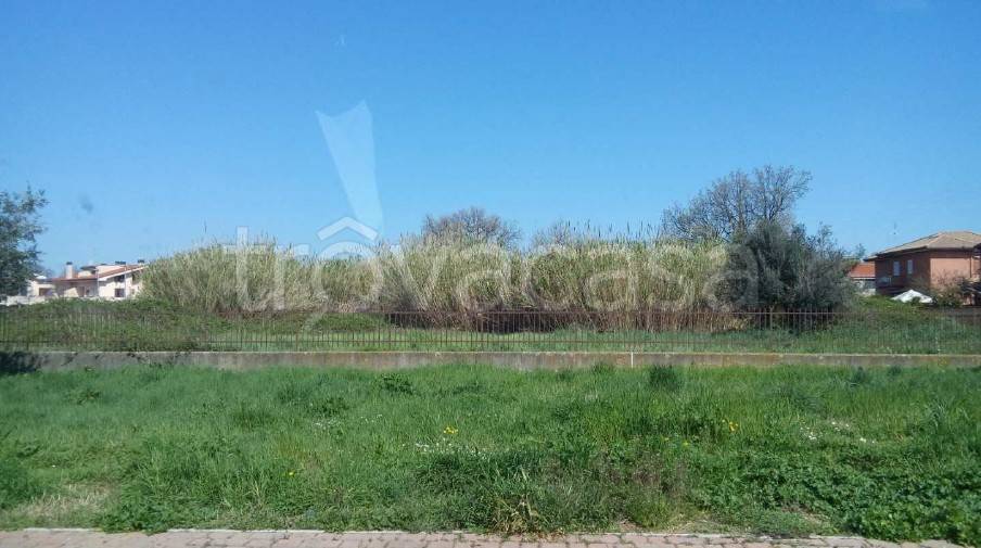 appartamento in vendita ad Albano Laziale in zona Pavona