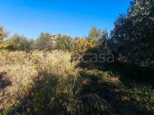 casa indipendente in vendita ad Albano Laziale in zona Marfoli