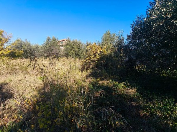 terreno edificabile in vendita ad Albano Laziale in zona Marfoli