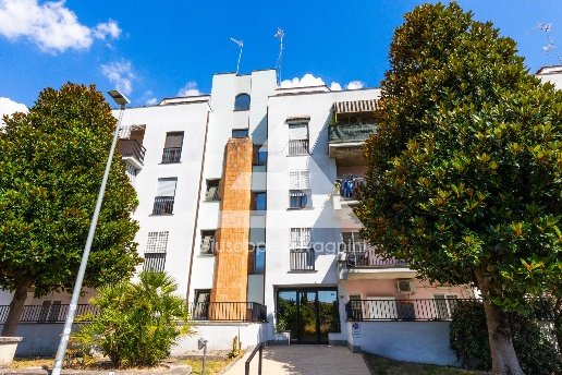 appartamento in vendita ad Albano Laziale