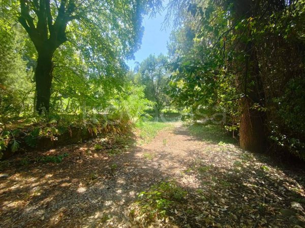 terreno agricolo in vendita ad Albano Laziale