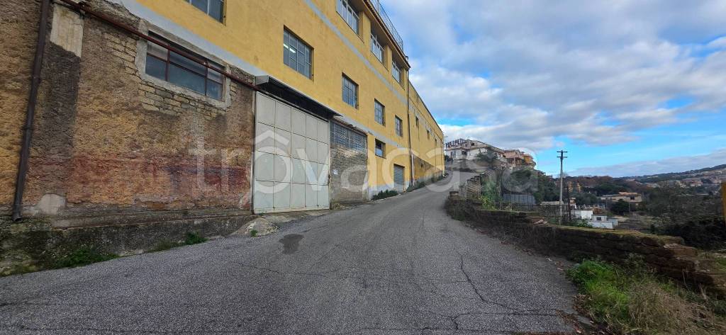 negozio in vendita ad Albano Laziale in zona Cecchina