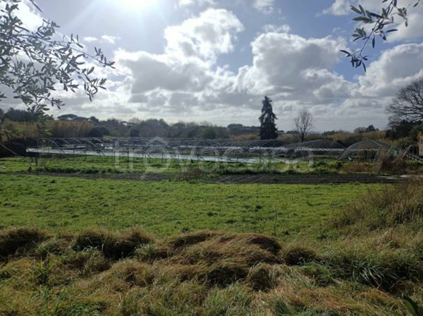 terreno agricolo in vendita ad Albano Laziale in zona Pavona