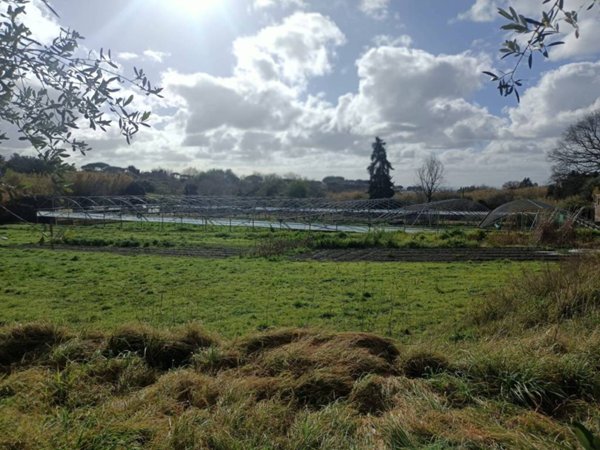 terreno agricolo in vendita ad Albano Laziale in zona Pavona