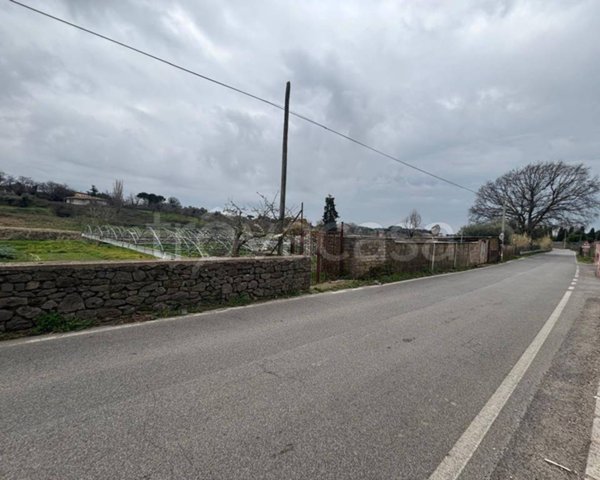 terreno agricolo in vendita ad Albano Laziale in zona Pavona