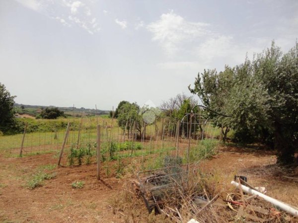 terreno agricolo in vendita ad Albano Laziale in zona Cecchina