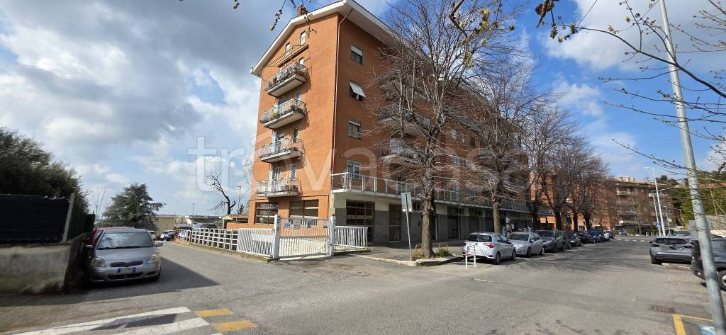 appartamento in vendita ad Albano Laziale