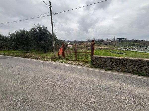 terreno agricolo in vendita ad Albano Laziale
